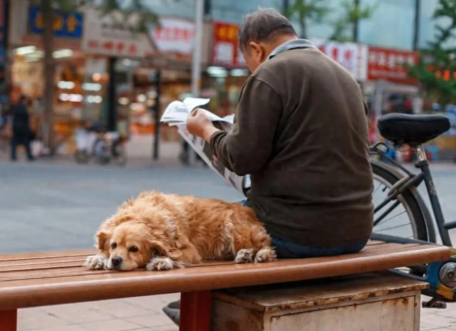 63 tuổi, nghỉ hưu, tôi làm 4 việc "tuyệt tình" rồi mới thấy đúng đắn: sống hạnh phúc mỗi ngày