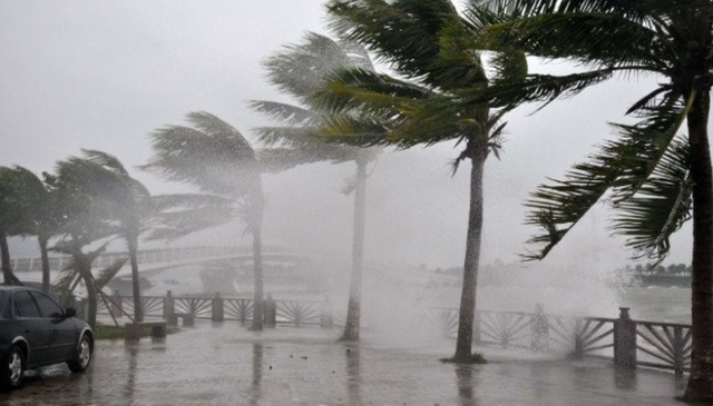 (Ảnh minh họa: Internet)