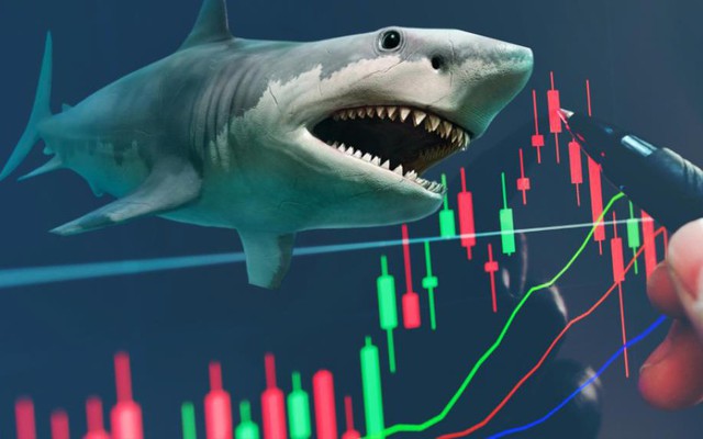 Vì sao loạt “cá mập”, “cá voi” đua nhau tham gia Chứng Trường Bạc Tỷ mùa 2?