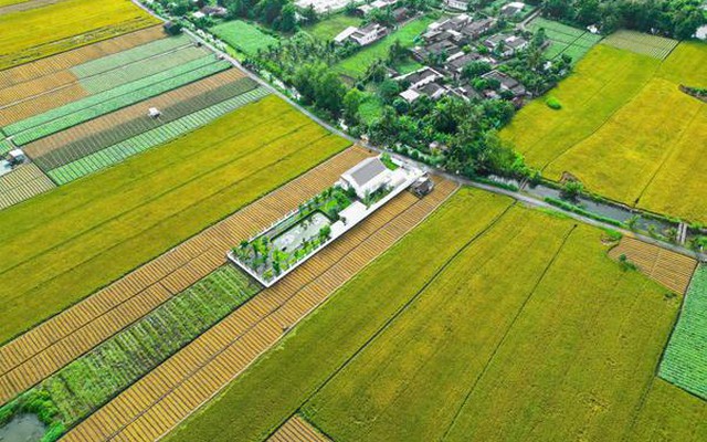 Nhà vườn Gò Công - Chốn nghỉ dưỡng ven đô dành cho người mê sống xanh