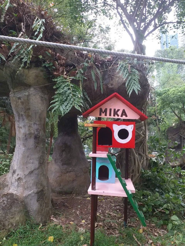 "Trưởng chuồng" mèo Mika nổi tiếng ở Thảo Cầm Viên cầm 80 triệu đi từ thiện: Sĩ nhất cái sở thú!- Ảnh 10. "Trưởng chuồng" mèo Mika nổi tiếng ở Thảo Cầm Viên cầm 80 triệu đi từ thiện: Sĩ nhất cái sở thú!- Ảnh 10.