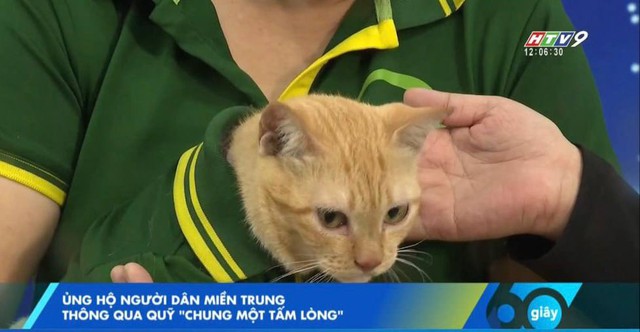 "Trưởng chuồng" mèo Mika nổi tiếng ở Thảo Cầm Viên cầm 80 triệu đi từ thiện: Sĩ nhất cái sở thú!- Ảnh 5. "Trưởng chuồng" mèo Mika nổi tiếng ở Thảo Cầm Viên cầm 80 triệu đi từ thiện: Sĩ nhất cái sở thú!- Ảnh 5.