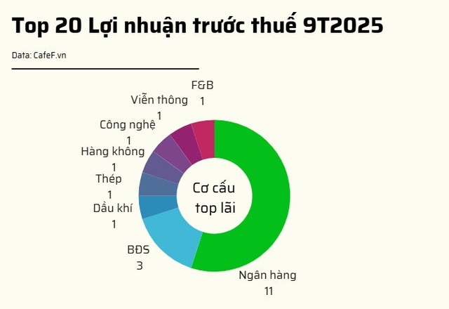 20 doanh nghiệp niêm yết lãi lớn nhất 9T2025: Có 10 cái tên lãi trên 15.000 tỷ gồm 7 ngân hàng và 3 công ty BĐS
