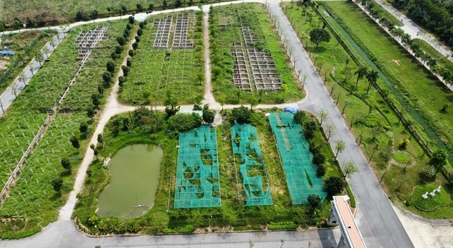 Hà Nội giao hơn 17ha đất để xây nhà liền kề và nhà ở xã hội