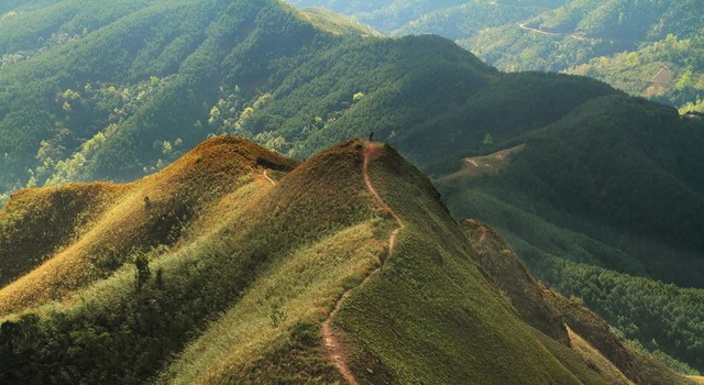 Ngoài biển, Quảng Ninh còn có 1 vùng núi nhiều người chưa biết: Đang vào mùa đẹp nhất, cảnh như phim