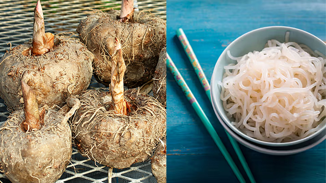 Độc lạ 1 loại củ Việt Nam có thể "hô biến" thành cơm, bún, thạch: Giúp giảm cân, ổn định đường huyết, người Nhật cực thích
