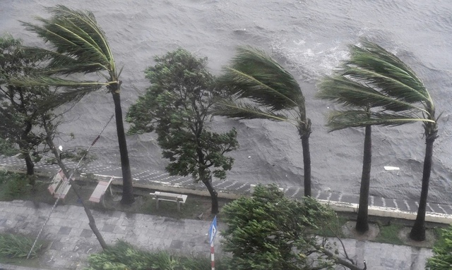 Người dân khu vực này đặc biệt lưu ý: Chỉ ít giờ tới, nguy cơ gió mạnh và mưa dông rất cao