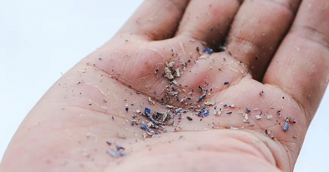 Top 2 loại củ quả ngậm đầy vi nhựa, nhiều người Việt vẫn vô tư ăn hàng ngày