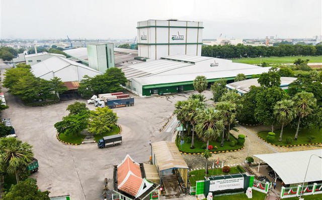 Lợi nhuận Greenfeed tiếp tục tăng trưởng bền vững