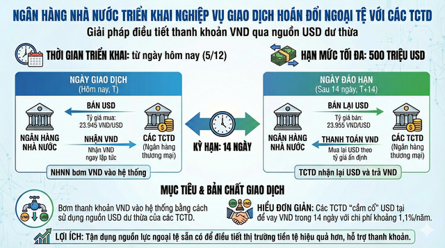 NHNN chính thức kích hoạt thêm công cụ bơm tiền Đồng cho hệ thống ngân hàng - Ảnh 1.