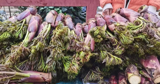 Việt Nam có loại rau mọc dại, nhưng ở Trung Quốc lại là "cao lương mỹ vị số 1": Bổ ngang nhân sâm, bán đắt hơn cả thịt