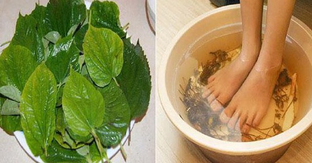 Ngâm chân nước nóng có rất nhiều lợi ích nhưng 5 nhóm người này tốt nhất đừng làm - càng làm nhiều càng hại