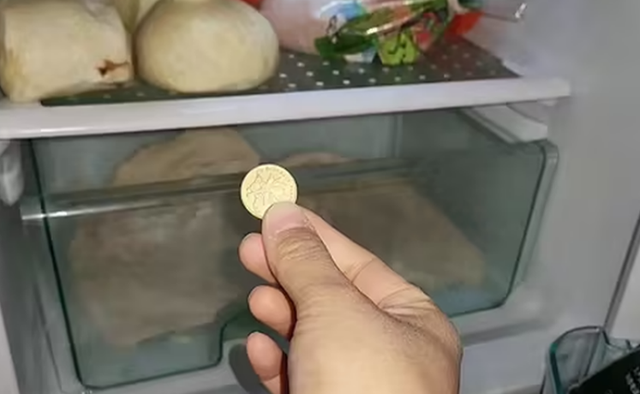 Người thông minh bỏ 1 đồng xu vào tủ lạnh trước khi vắng nhà dài ngày: Lý do nghe xong ai cũng phải gật gù đồng ý