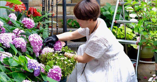 Khu vườn sân thượng độc đáo với hoa phủ kín 2 tầng nhà của mẹ 3 con! Khu vườn sân thượng độc đáo với hoa phủ kín 2 tầng nhà của mẹ 3 con!