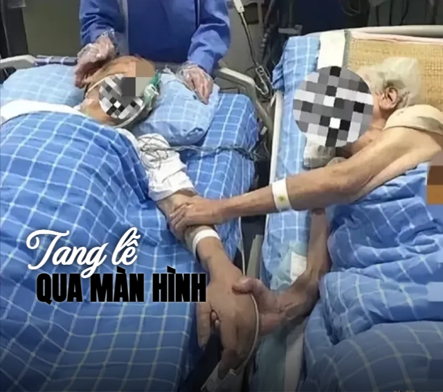 Bi kịch của vợ chồng giáo sư: Qua đời trong viện dưỡng lão, 3 đứa con ở Mỹ không về, dự đám tang qua mạng Bi kịch của vợ chồng giáo sư: Qua đời trong viện dưỡng lão, 3 đứa con ở Mỹ không về, dự đám tang qua mạng