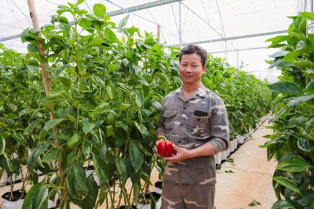 Chuyện Phó GĐ ca trực Nhà máy mỏ Quảng Ninh tha hương cầu thực, làm nên “cơ ngơi” khoai tây, chuối, cà chua… kiếm tiền tỷ Chuyện Phó GĐ ca trực Nhà máy mỏ Quảng Ninh tha hương cầu thực, làm nên “cơ ngơi” khoai tây, chuối, cà chua… kiếm tiền tỷ