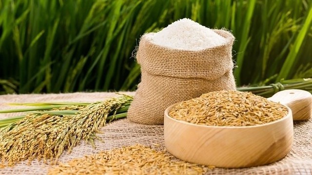 Giữa lúc thị trường chung hồi phục mạnh, HOSE ấn định ngày hủy niêm yết một cổ phiếu Giữa lúc thị trường chung hồi phục mạnh, HOSE ấn định ngày hủy niêm yết một cổ phiếu