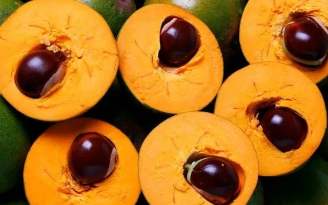 1 loại quả ngọt "bị lãng quên" nhưng giúp hạ đường huyết, bơm máu hiệu quả: Rất sẵn ở Việt Nam 1 loại quả ngọt "bị lãng quên" nhưng giúp hạ đường huyết, bơm máu hiệu quả: Rất sẵn ở Việt Nam