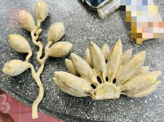 Công an cảnh báo 1 thủ đoạn lừa đảo mới, chưa từng xuất hiện: Đối tượng đang đi đến một số vùng nông thôn- Ảnh 1.