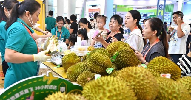 Quốc gia hàng đầu khu vực e ngại sự trỗi dậy của nông sản Việt Nam Quốc gia hàng đầu khu vực e ngại sự trỗi dậy của nông sản Việt Nam