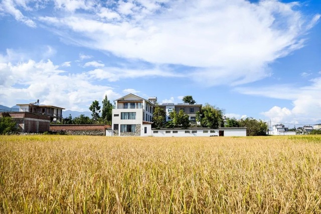 4 anh em về quê góp tiền xây biệt thự trên mảnh đất 700m2: Đủ làm nơi nghỉ hưu cho gia đình 11 người- Ảnh 8. 4 anh em về quê góp tiền xây biệt thự trên mảnh đất 700m2: Đủ làm nơi nghỉ hưu cho gia đình 11 người- Ảnh 8.