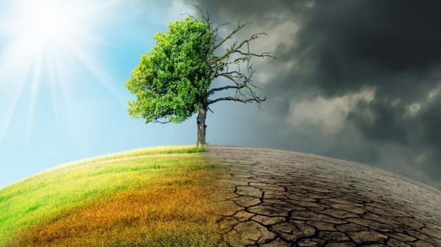 Loạt định chế tài chính rút khỏi cam kết Net Zero: Doanh nghiệp Việt nhìn gì từ động thái của thế giới? Loạt định chế tài chính rút khỏi cam kết Net Zero: Doanh nghiệp Việt nhìn gì từ động thái của thế giới?