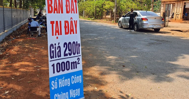“Cơn sốt” đất nền đổ bộ Hải Phòng, Hưng Yên: Chuyện gì đang xảy ra? “Cơn sốt” đất nền đổ bộ Hải Phòng, Hưng Yên: Chuyện gì đang xảy ra?