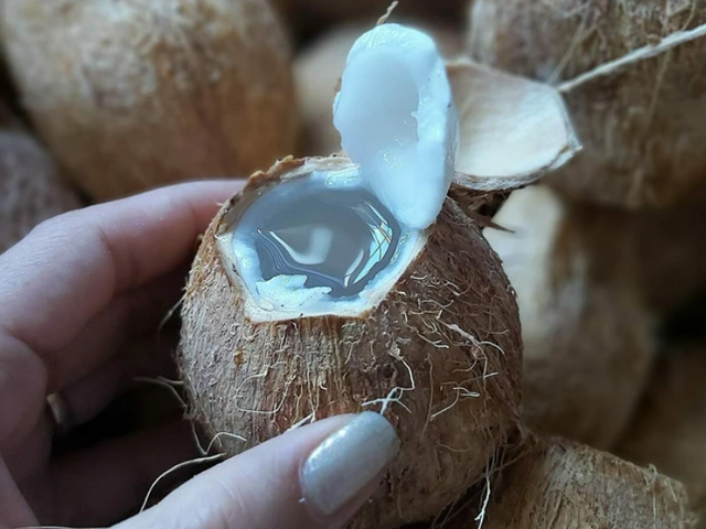 Việt Nam có 2 loại “nước trường thọ”, giá rẻ bèo nhưng bổ ngang nhân sâm, tổ yến: Người mắc Covid-19 nên bổ sung để tăng miễn dịch, phục hồi nhanh Việt Nam có 2 loại “nước trường thọ”, giá rẻ bèo nhưng bổ ngang nhân sâm, tổ yến: Người mắc Covid-19 nên bổ sung để tăng miễn dịch, phục hồi nhanh