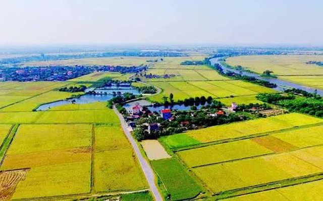 Ảnh minh họa.
Ảnh minh họa.