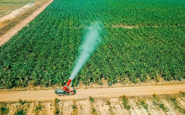 HAGL Agrico bất ngờ không còn bán hàng dưới giá vốn sau khi cổ đông “truy vấn”, quý 1/2025 lỗ thêm 84 tỷ, lỗ luỹ kế gần 9.500 tỷ đồng HAGL Agrico bất ngờ không còn bán hàng dưới giá vốn sau khi cổ đông “truy vấn”, quý 1/2025 lỗ thêm 84 tỷ, lỗ luỹ kế gần 9.500 tỷ đồng