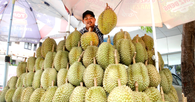 Ảnh minh họa Ảnh minh họa