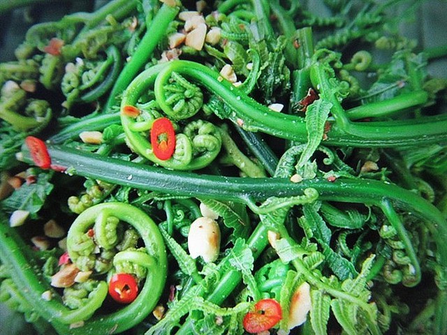 1 loại rau mọc dại ở Việt Nam được người Trung Quốc xem là “rau trường thọ”, sang tận nơi để thu mua: Giá ngang thịt bò, bổ tựa nhân sâm
