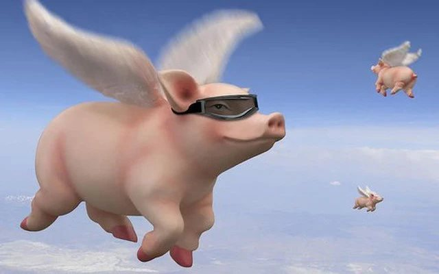 Cổ phiếu các đại gia chăn nuôi heo bốc đầu, DBC “cháy hàng” sau vụ C.P bị tố bán heo bệnh Cổ phiếu các đại gia chăn nuôi heo bốc đầu, DBC “cháy hàng” sau vụ C.P bị tố bán heo bệnh