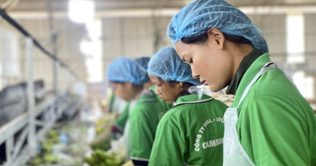 Lời than của bầu Đức "Tìm sếp nông trường còn khó hơn sếp ngân hàng" hé lộ cơn khát nhân tài nông nghiệp Lời than của bầu Đức "Tìm sếp nông trường còn khó hơn sếp ngân hàng" hé lộ cơn khát nhân tài nông nghiệp