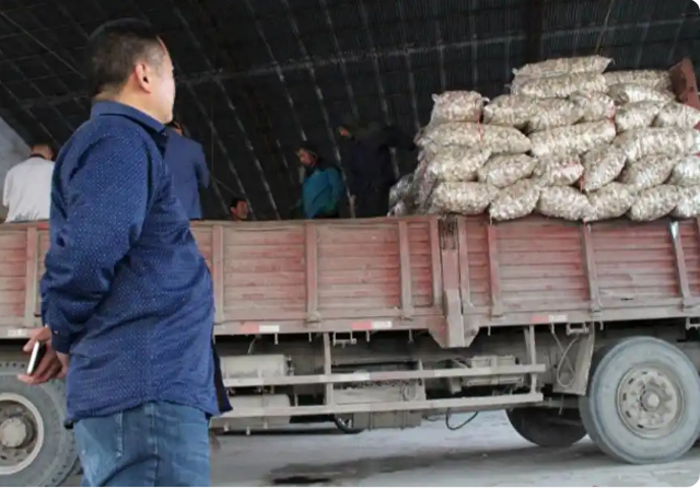 Thương lái chi 6 tỷ đồng mua 500 tấn tỏi gửi kho lạnh chờ bán, 1 năm sau chết lặng khi kho rỗng không, quản lý khẳng định: "Không có hóa đơn xuất kho"