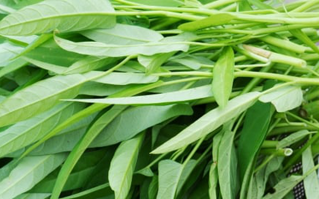 Rau muống dễ nhiễm chì, liệu có cách nào nhận biết?