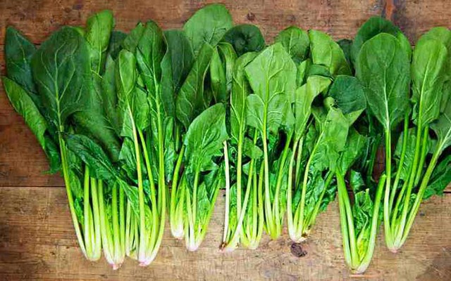 Mỹ đánh giá đây là "vua rau xanh", giàu sắt hơn hẳn thịt bò: Giúp tim khỏe, mắt sáng, tốt nhất thế giới- Ảnh 3. Mỹ đánh giá đây là "vua rau xanh", giàu sắt hơn hẳn thịt bò: Giúp tim khỏe, mắt sáng, tốt nhất thế giới- Ảnh 3.