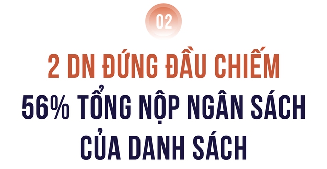 Công bố 10 Công ty tư nhân Thực phẩm - Đồ uống nộp ngân sách lớn nhất Việt Nam- Ảnh 3.