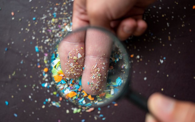 3 loại thực phẩm quen thuộc trong bếp nhiễm đầy vi nhựa: Người Việt vẫn vô tư ăn hàng ngày, có món chứa trung bình gần 200.000 hạt nhựa/gam