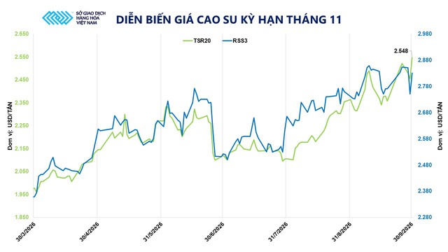 MXV – SGX tăng cường kết nối, mở thêm cơ hội tiếp cận thị trường hàng hóa quốc tế- Ảnh 2.