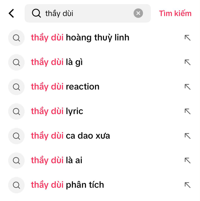 “Thầy dùi” nghĩa là gì?- Ảnh 1.