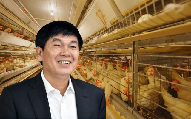 Đàn gà của tỷ phú Trần Đình Long giờ ra sao? - Ảnh 1.