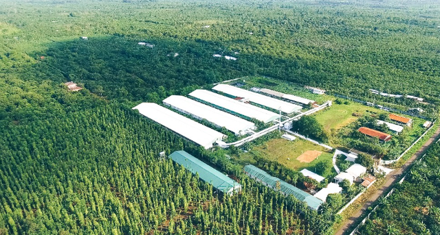 Một doanh nghiệp Việt Nam sang Lào xây nhà máy hơn 10 triệu USD: Công suất 180.000 tấn/năm, sản xuất ‘mỏ vàng ẩn’ của ngành nông nghiệp - Ảnh 1.