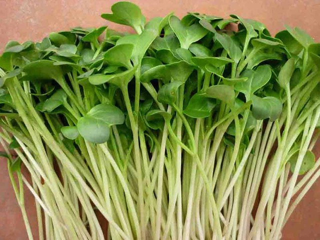 Chợ Việt sẵn 5 loại rau là "vua thải độc gan", càng ăn càng đốt mỡ, chống già- Ảnh 1.