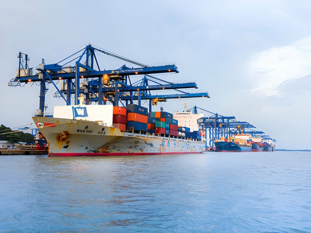 Việt Nam đang sở hữu một ngành hàng ‘gà đẻ trứng vàng': Âm thầm mang về hàng chục tỷ USD mỗi năm, xuất khẩu sang Mỹ, Thái Lan bùng nổ - Ảnh 1.
