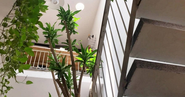 Ông bà dặn: Nhà có 4 dấu hiệu này đừng bao giờ bán, càng ở càng giàu, con cháu tha hồ hưởng lợi