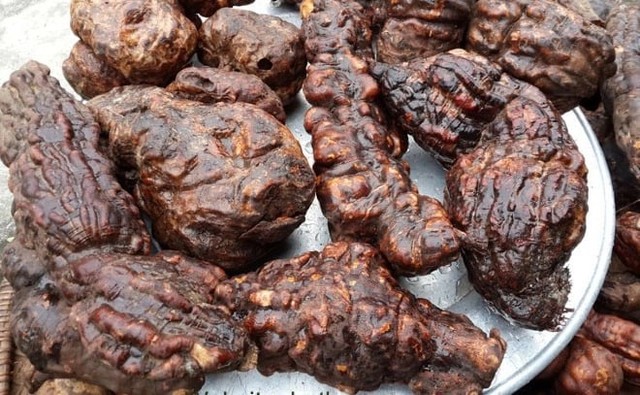 1 loại cây quý phơi khô là "khắc tinh của ung thư", hạ đường huyết hiệu quả: Rất sẵn ở Việt Nam - Ảnh 2.