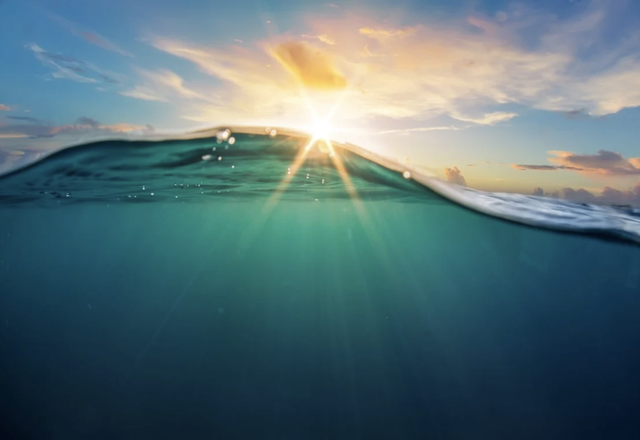 Trung Quốc lại khiến thế giới choáng ngợp: Tuyên bố đã tạo ra vật liệu dạng xốp, nhỏ hơn sợi tóc, biết đi săn ‘kho báu’ dưới nước - Ảnh 1.