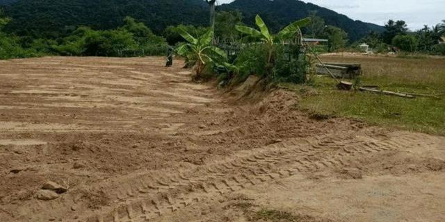 San đất để làm vườn, người dân Việt Nam phát hiện vật hình hộp màu xanh lạ, chuyên gia xác nhận báu vật hiếm có 600 năm   tuổi - Ảnh 1.
