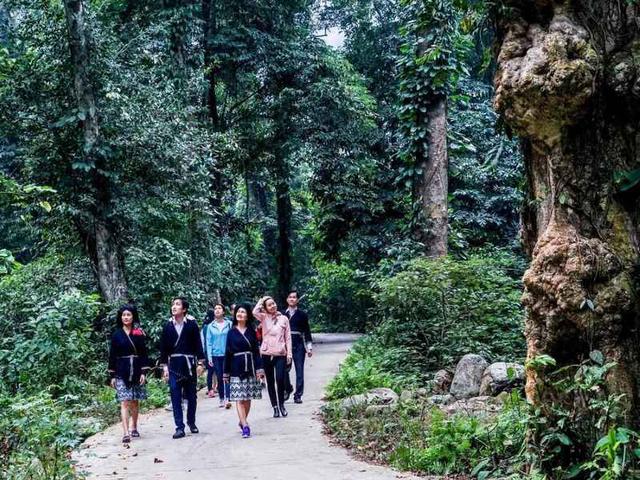 Không phải Sa Pa, đây là nơi thời tiết đủ 4 mùa trong 1 ngày, có thứ thuộc dạng "duy nhất của Việt Nam" - Ảnh 5.